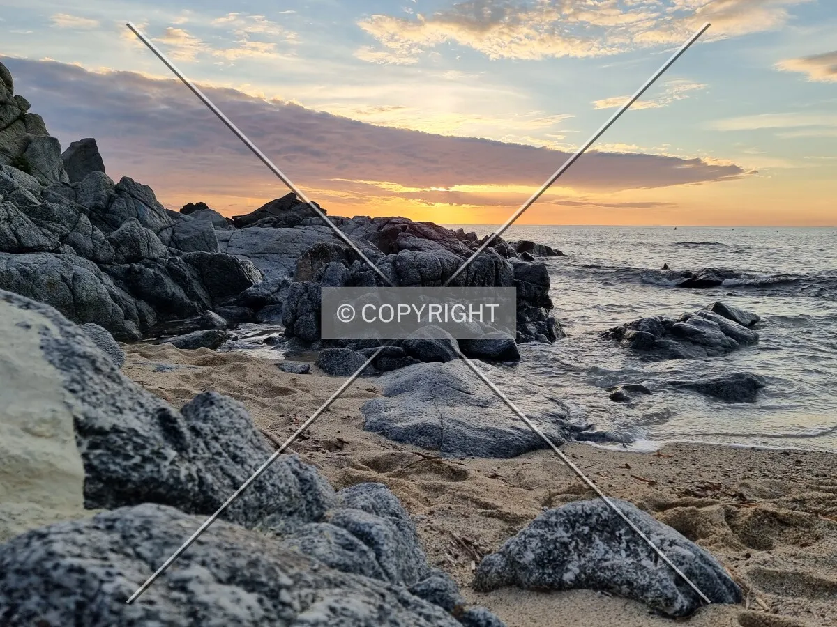 Photo 167-777-127