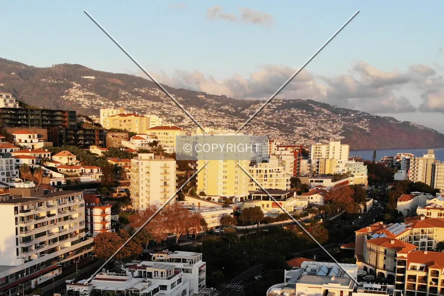 Photo 167-798-340