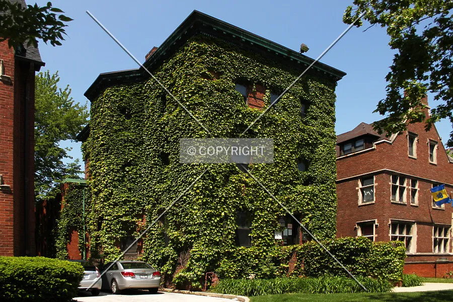 Photo 167-969-521