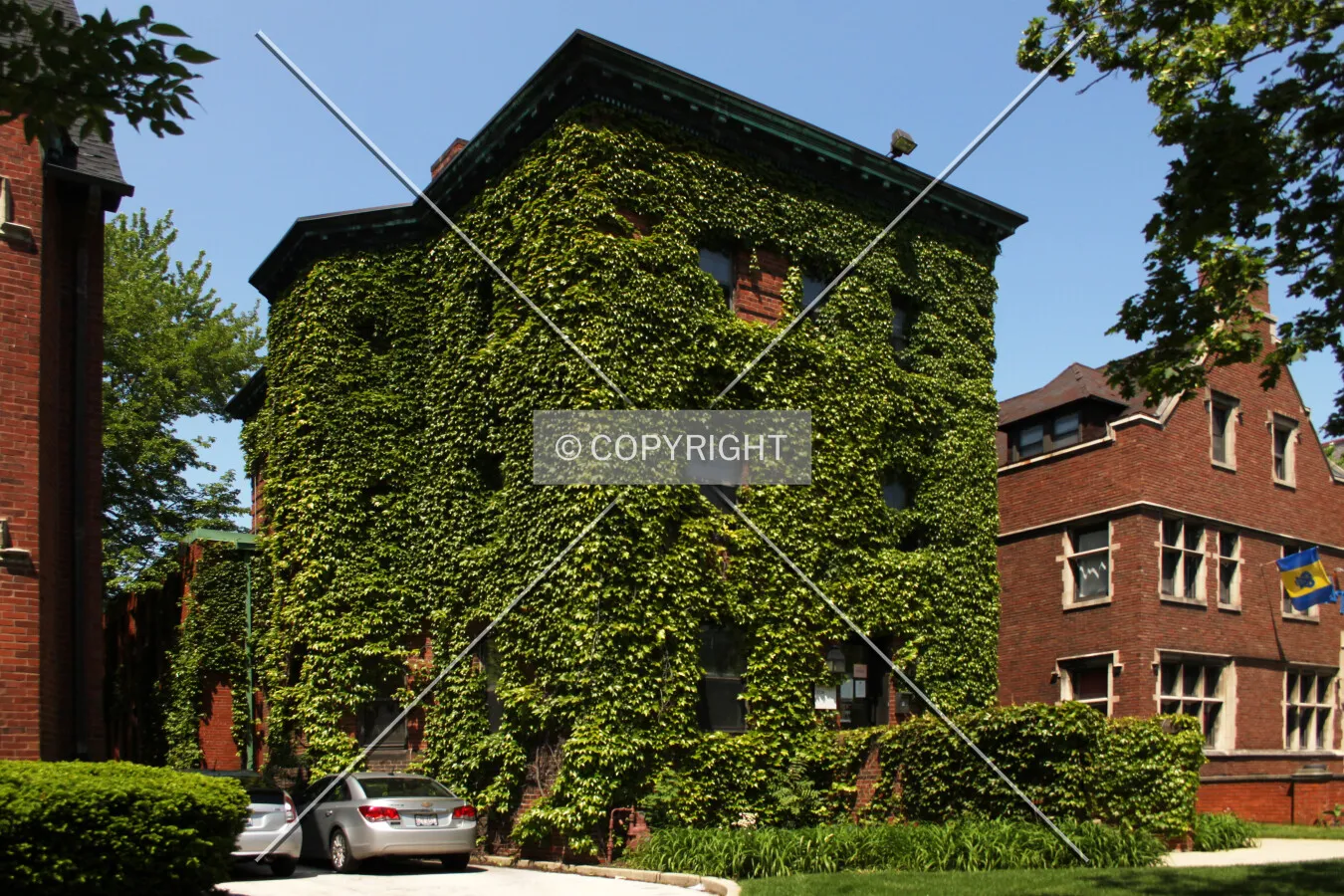 Photo 167-969-521