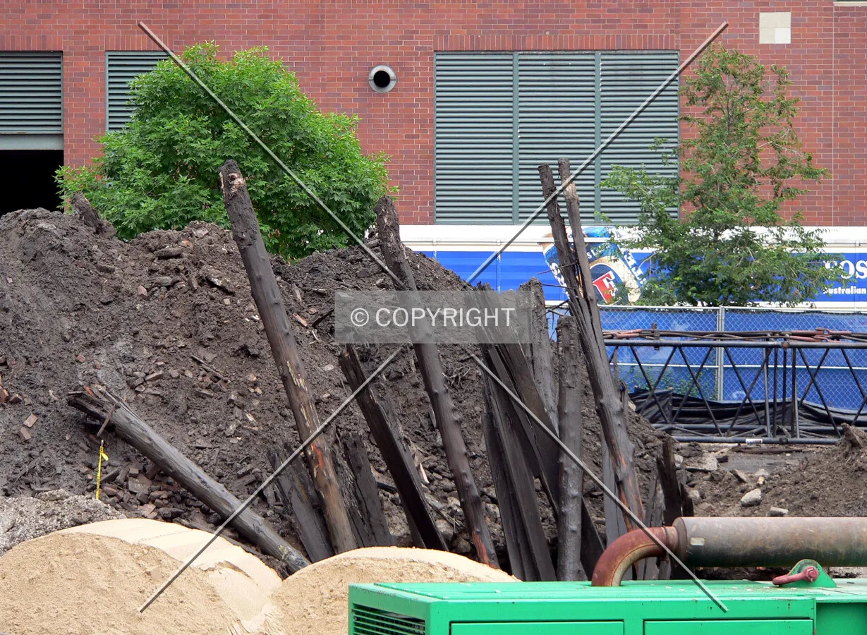 Wood piles excavated from the site