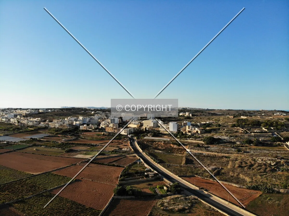 Photo 168-459-923