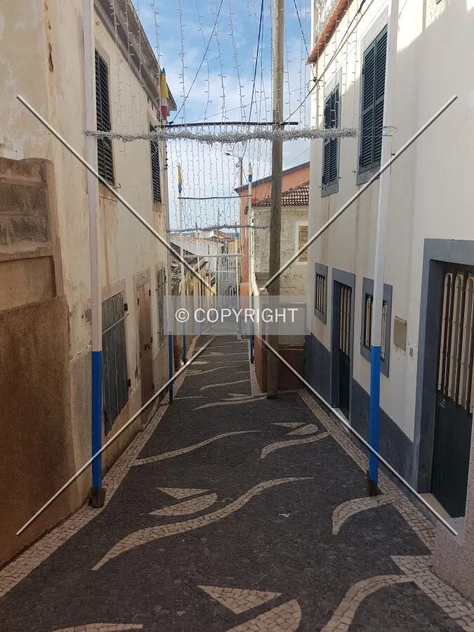 Photo 168-520-212