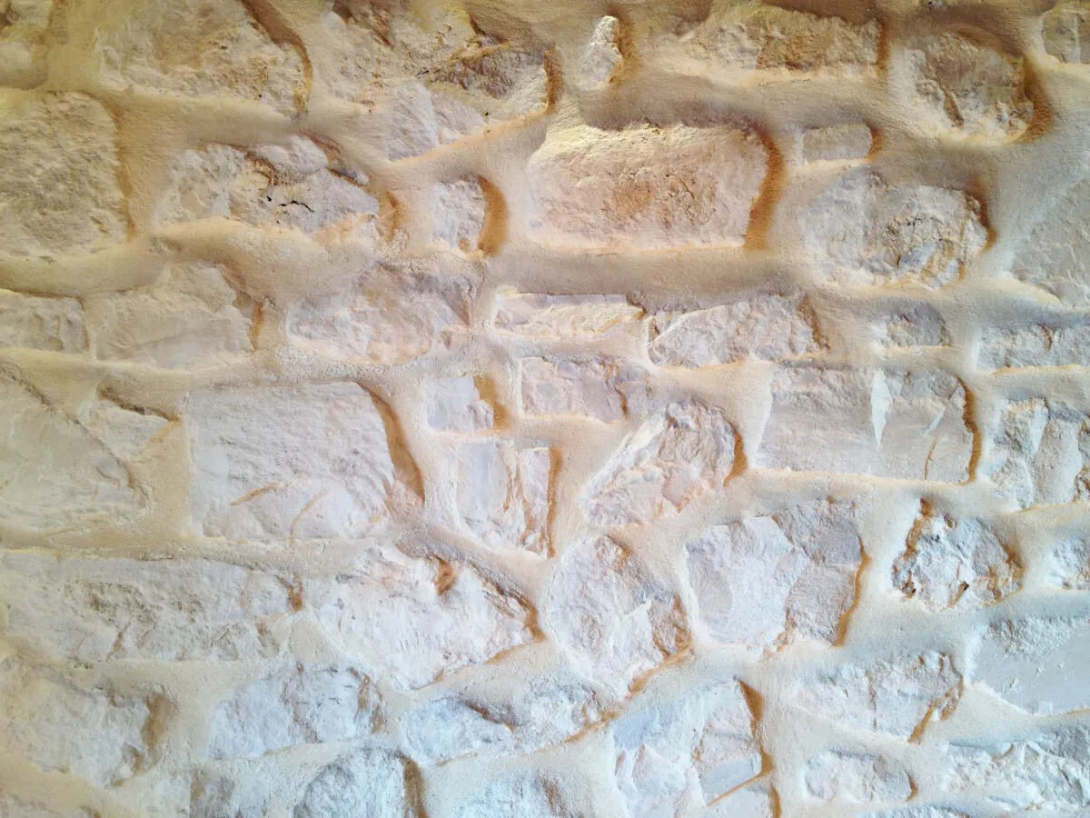 Photo 168-572-895