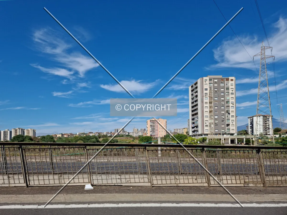 Photo 168-751-882