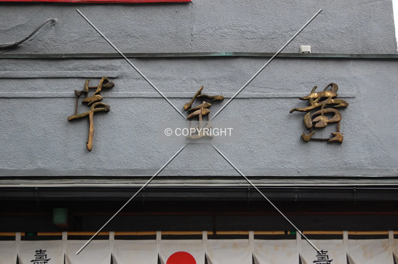Photo 168-763-250