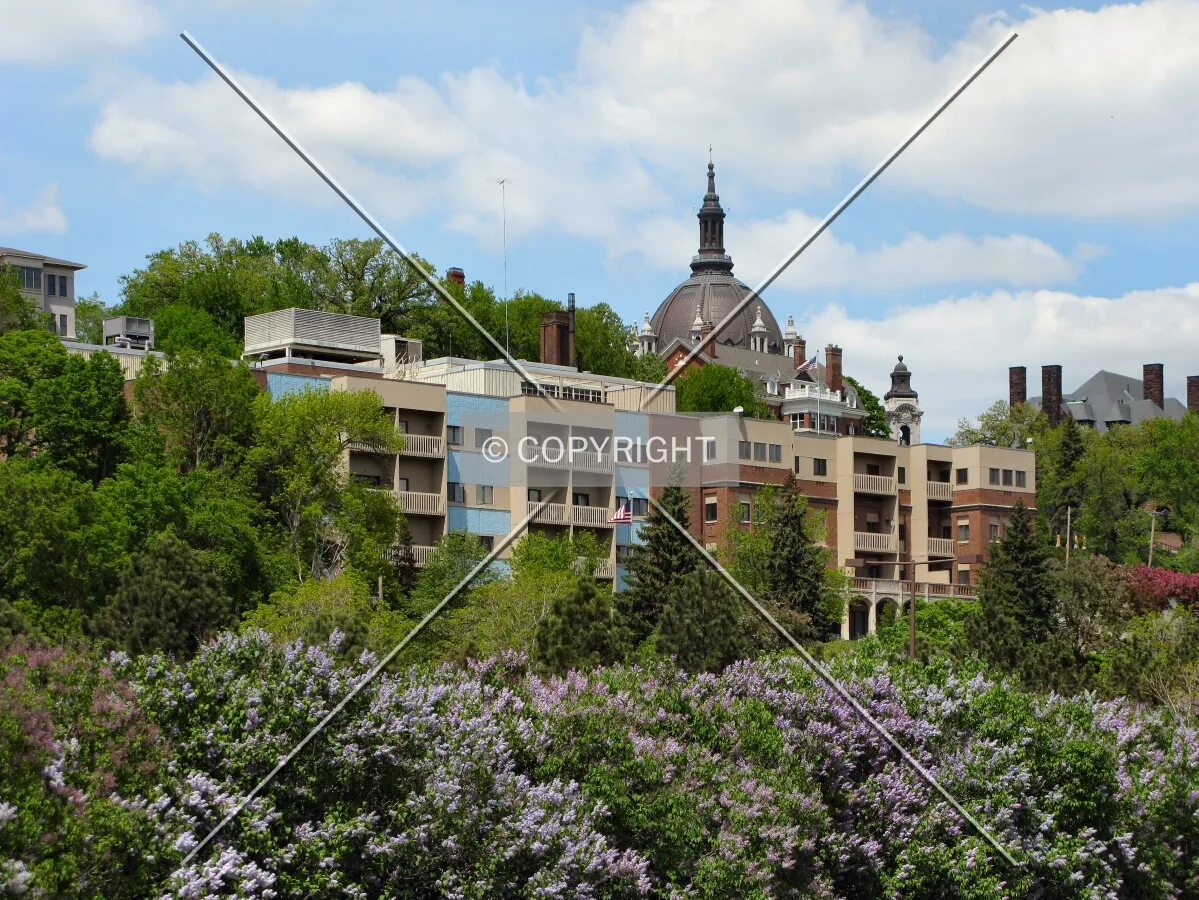View to the north from Thompson Street, the Cathedral of St. Paul rising in the distance