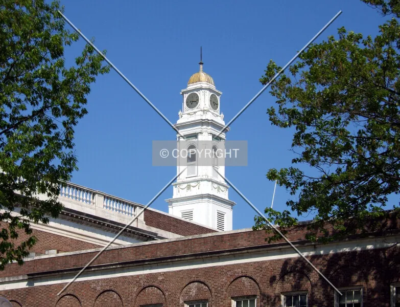 Photo 169-081-593