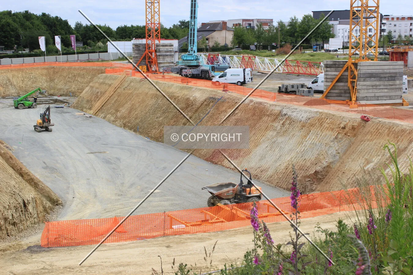 Photo 169-253-528