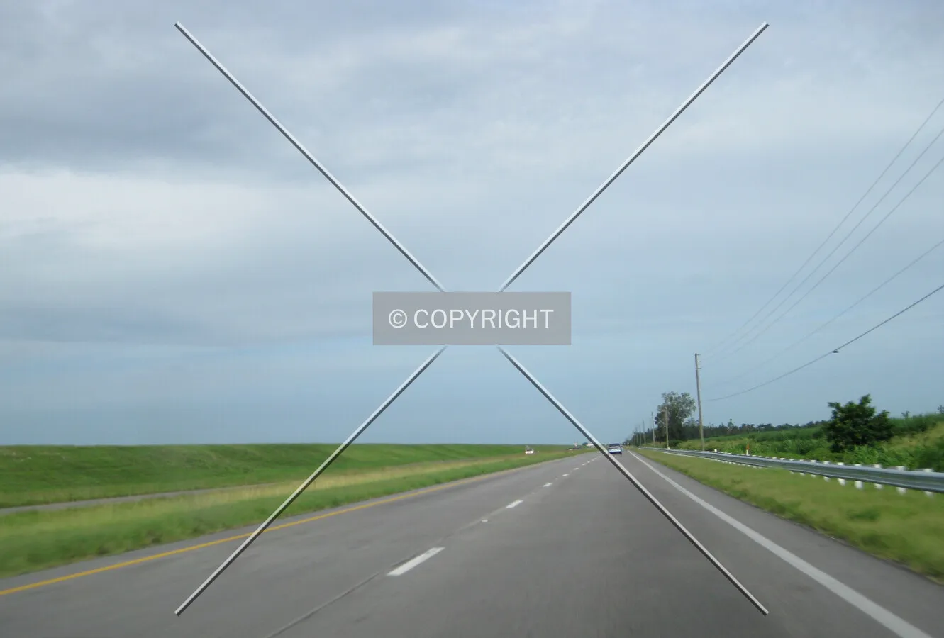 Photo 169-293-675