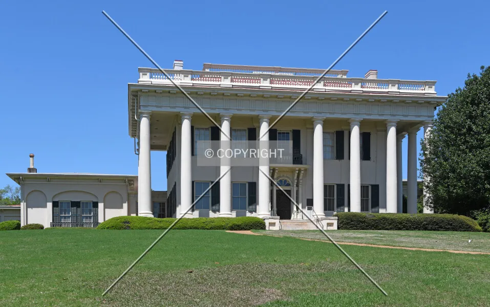 Photo 169-299-558