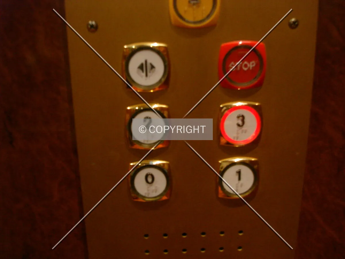 Photo 169-383-377
