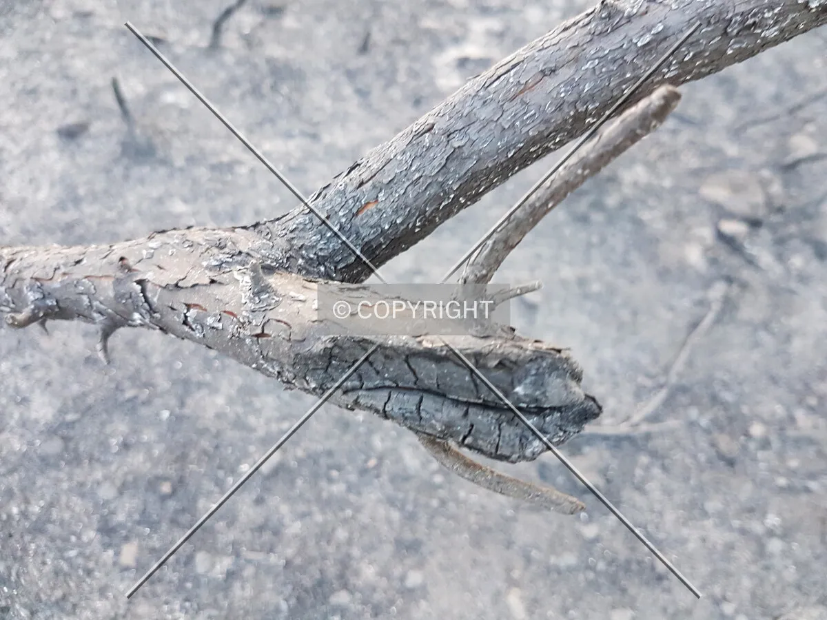 Photo 169-607-557