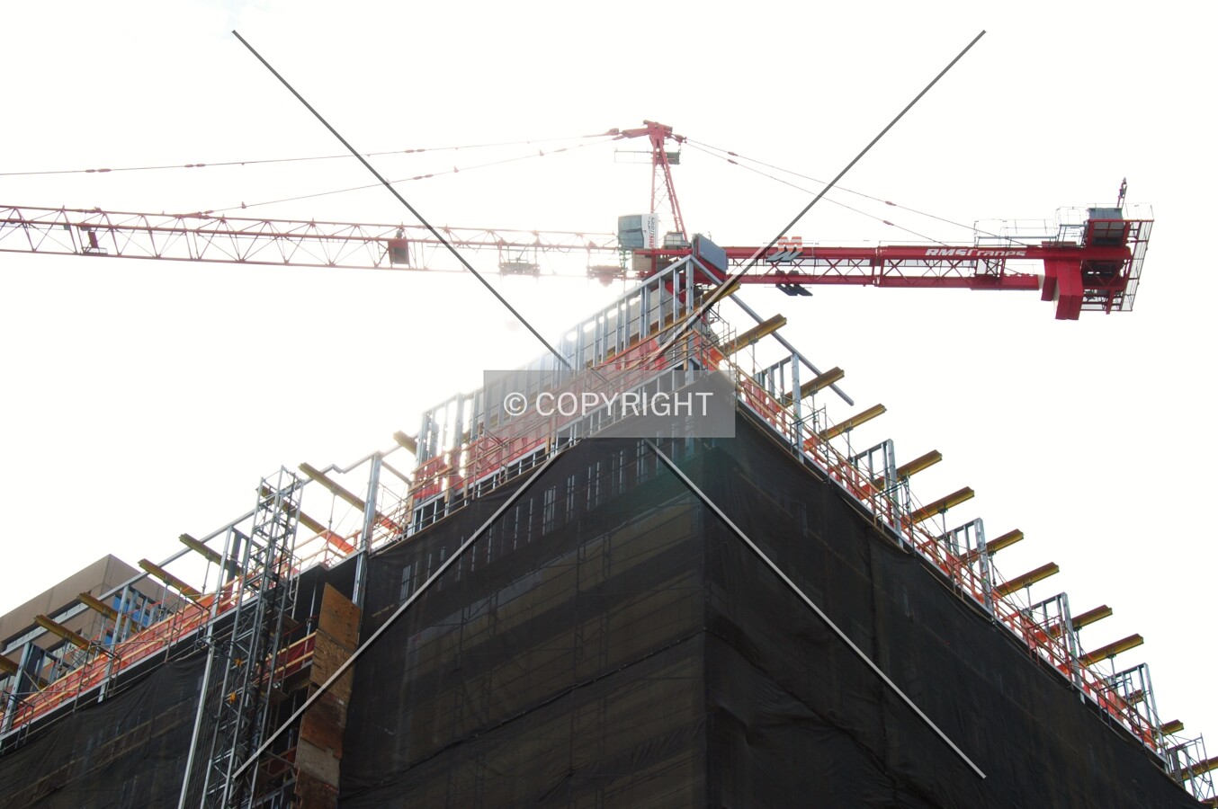 Photo 169-623-390