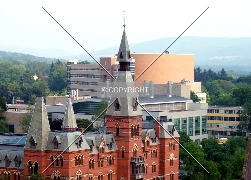 Photo 170-017-740