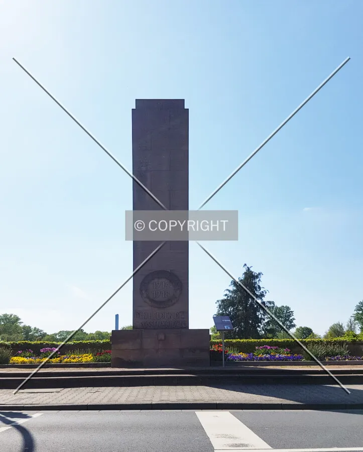 Photo 170-230-842