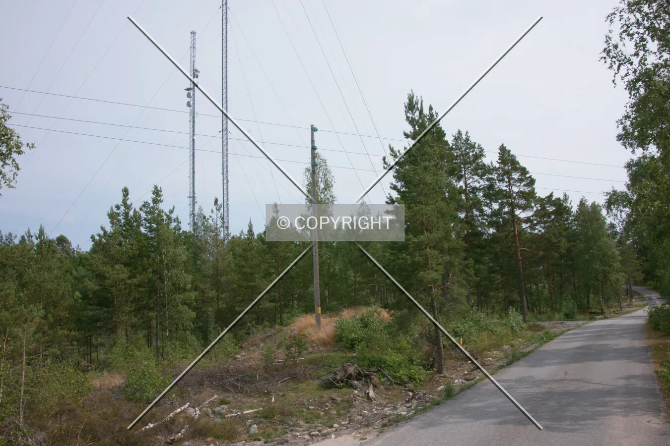 Photo 170-311-186
