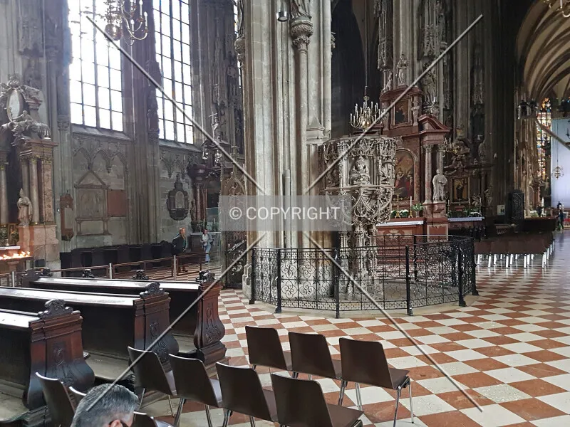 Photo 170-317-875