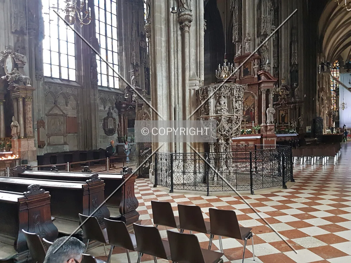 Photo 170-317-875