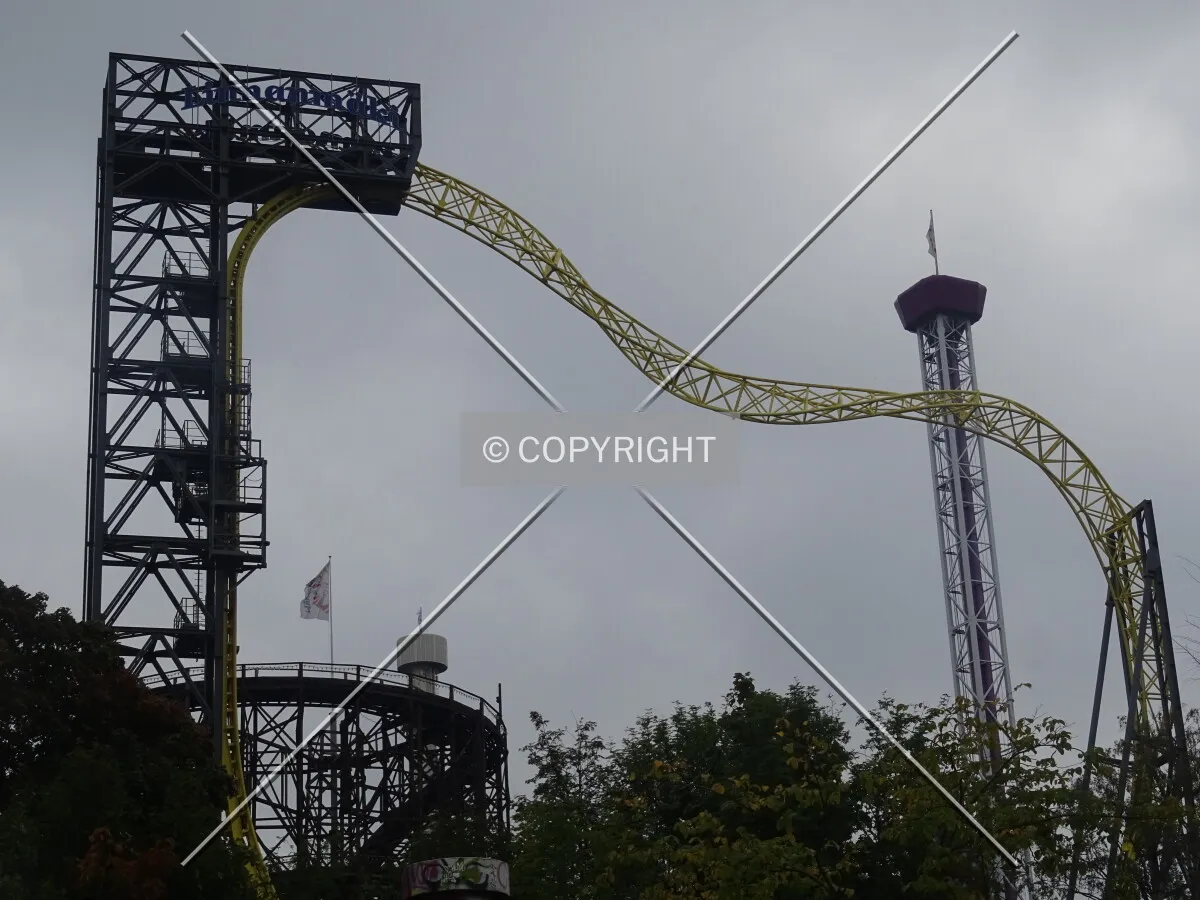 Photo 170-431-919