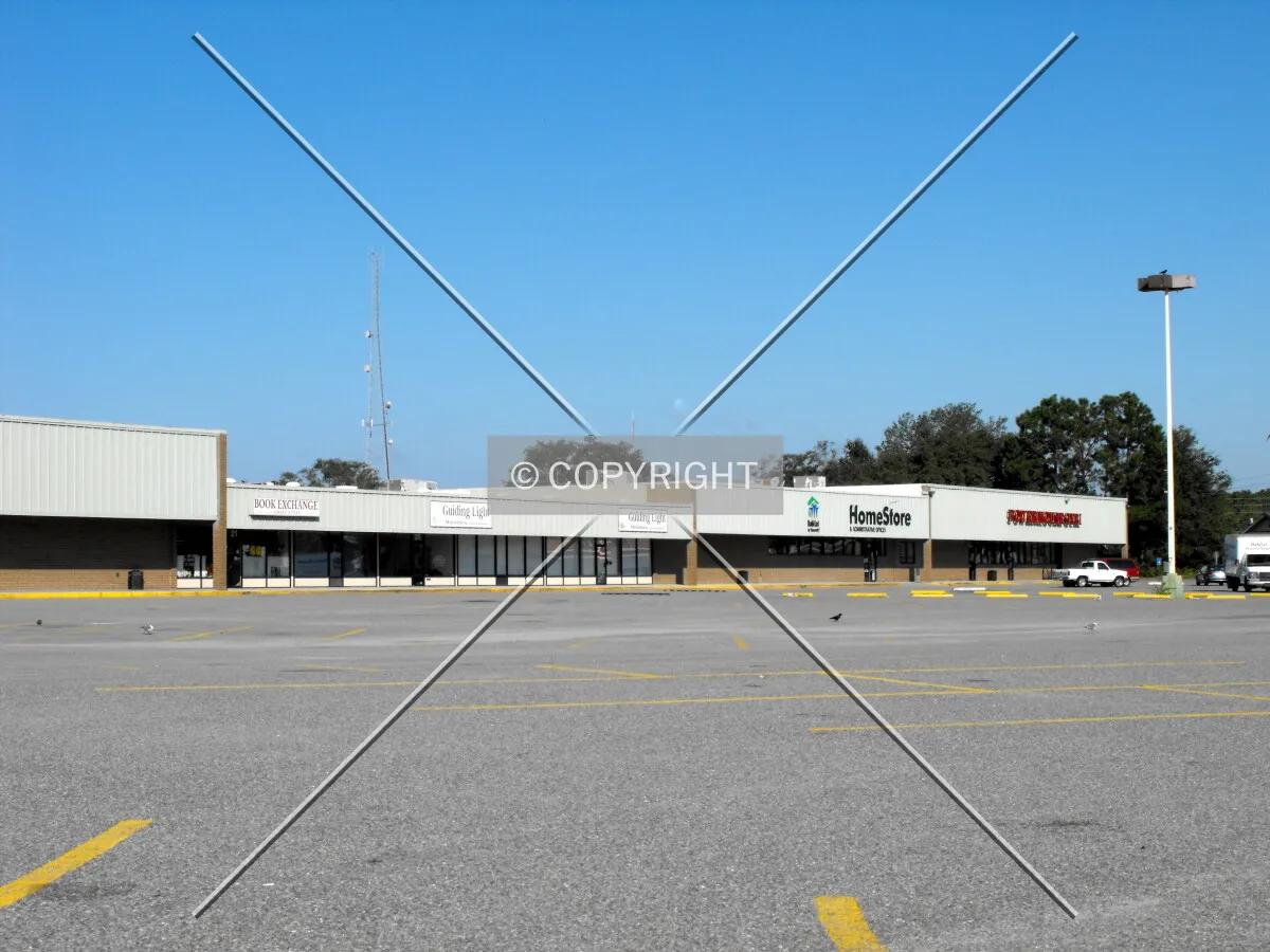View from the south