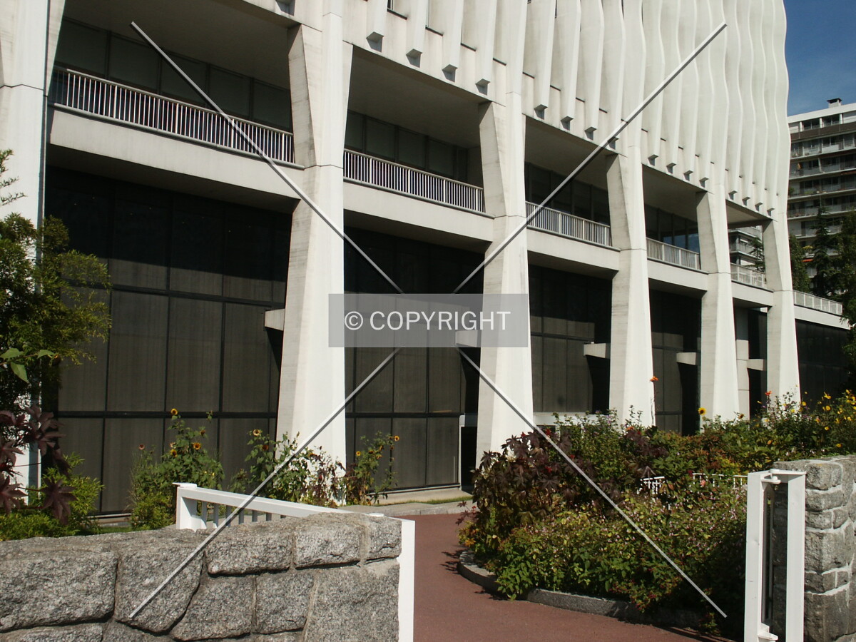 Entrance and plaza