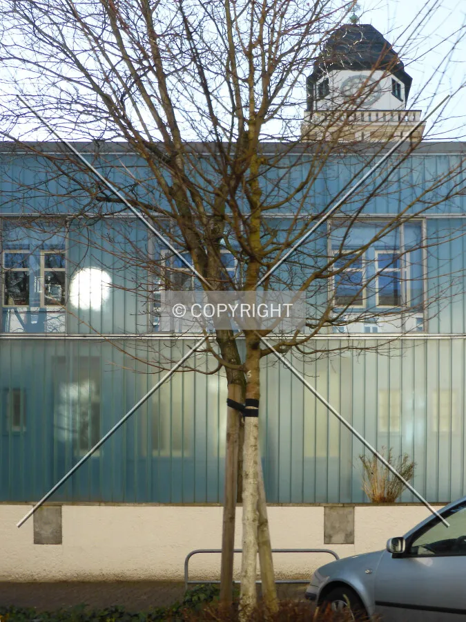 Photo 171-260-391