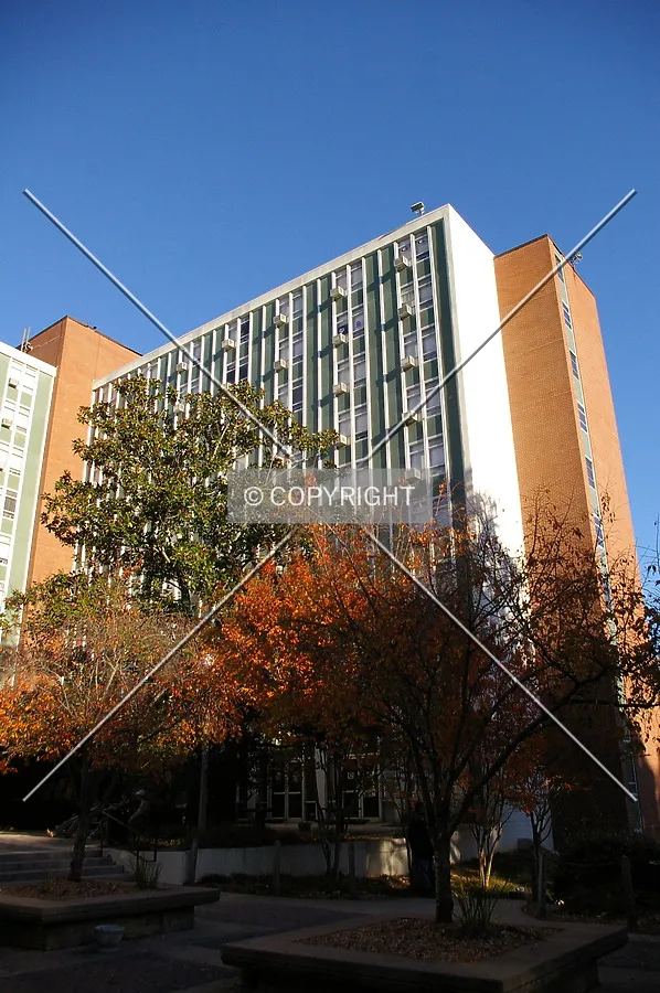 Looking at the western wing