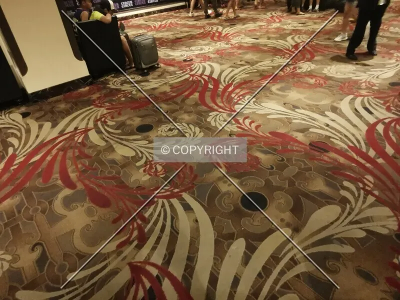 Photo 171-641-291