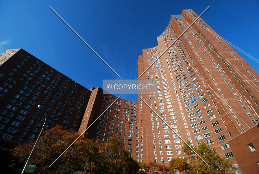 Photo 171-762-282