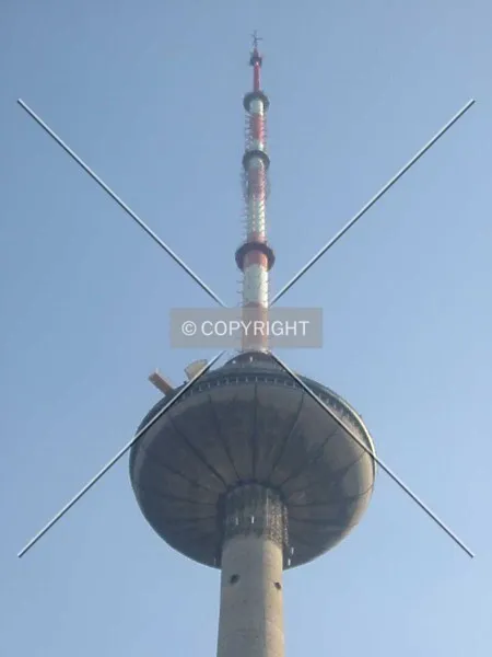 Photo 172-139-673