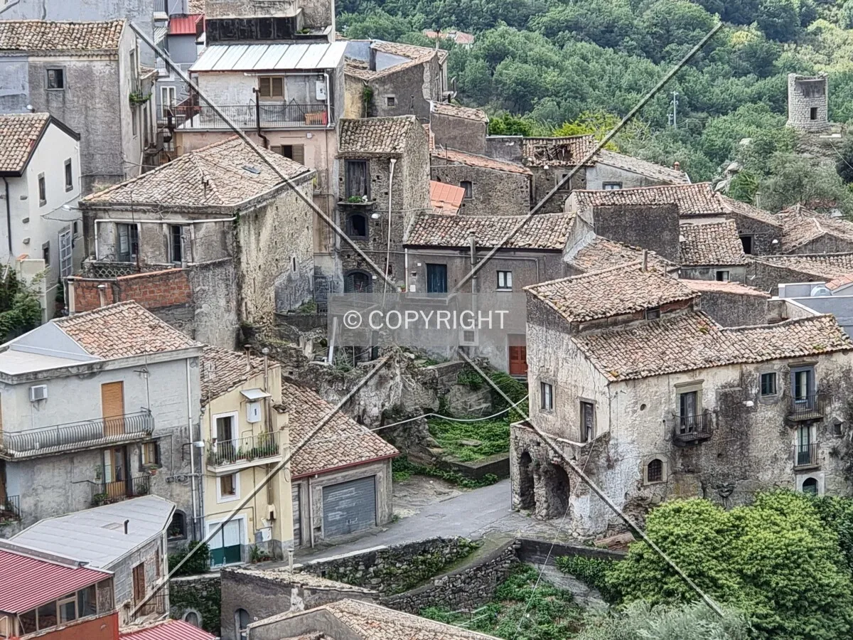 Photo 172-321-751