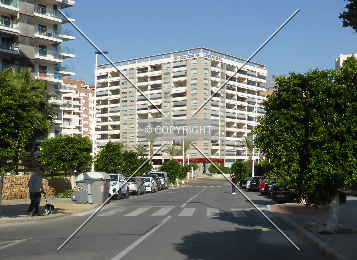Photo 172-323-481