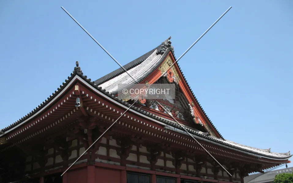Photo 017-241-606