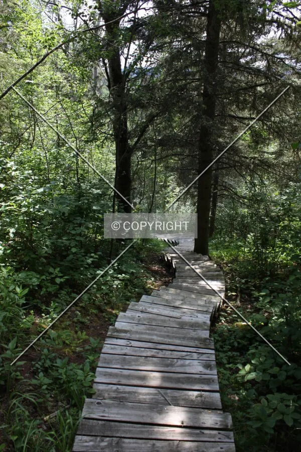 Narrows Peninsula Trail