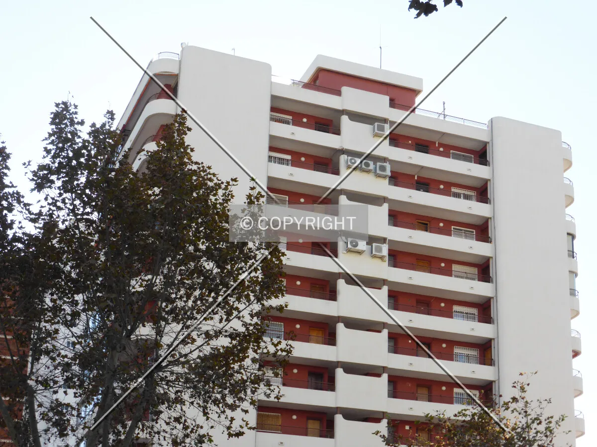 Photo 172-442-595