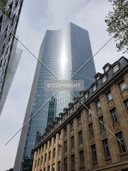 Photo 017-261-647