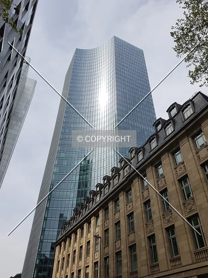 Photo 017-261-647