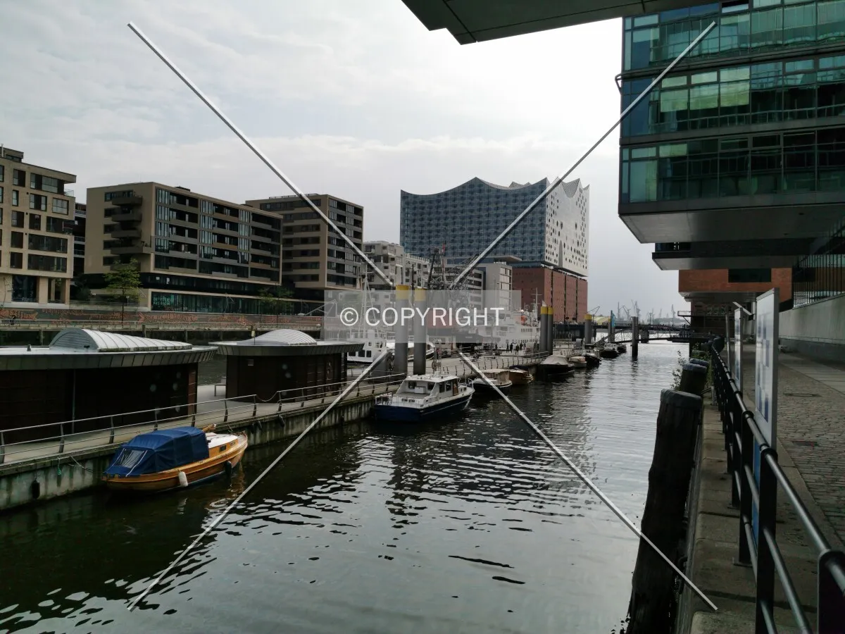 Photo 017-262-493