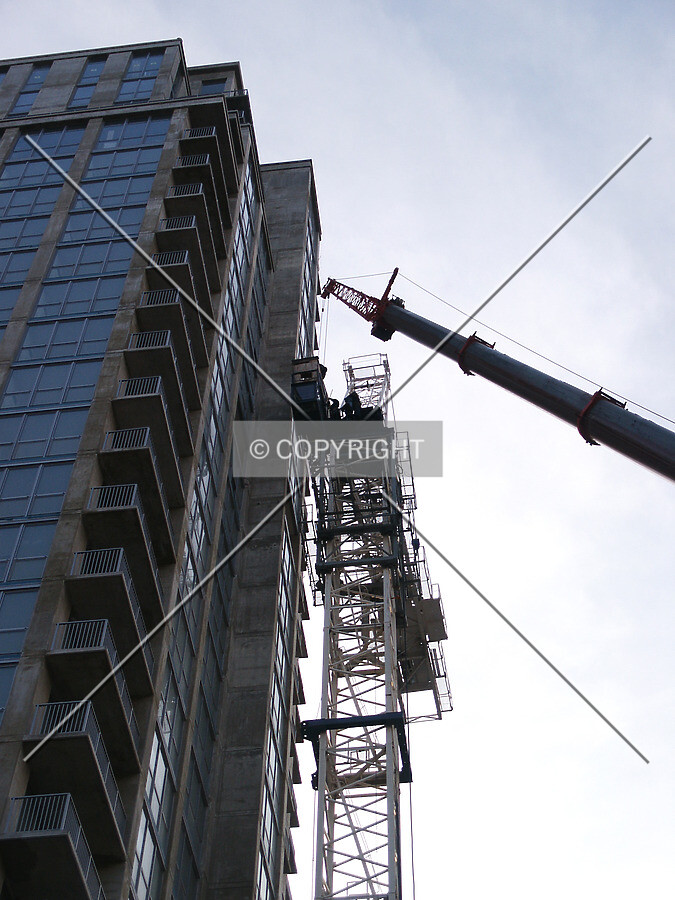 Looking up at the two cranes