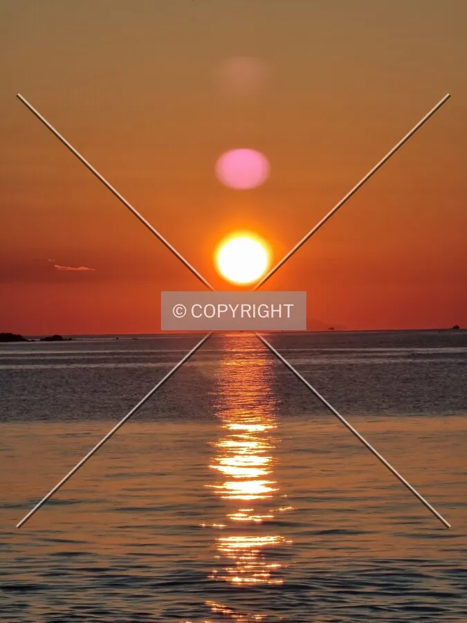 Photo 173-038-356