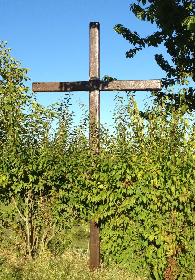 Photo 173-492-574
