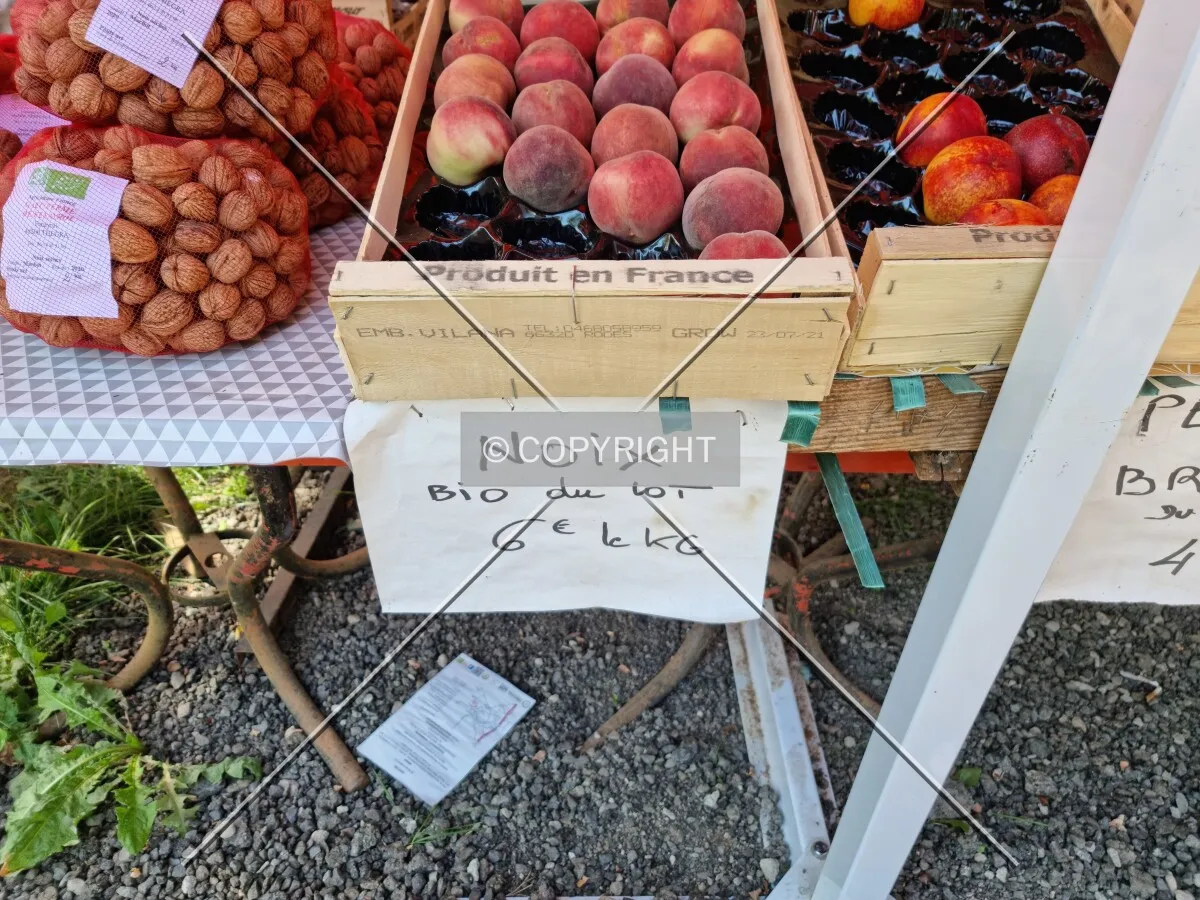 Photo 174-036-691