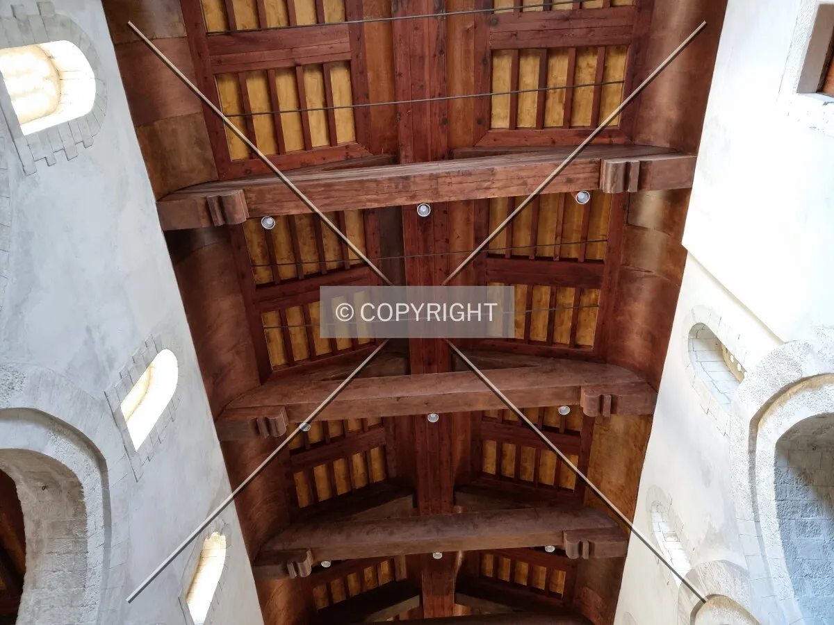 Photo 174-219-421