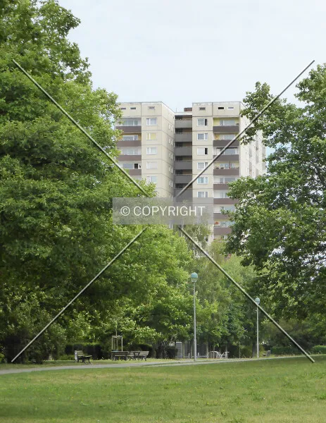 Photo 174-291-658
