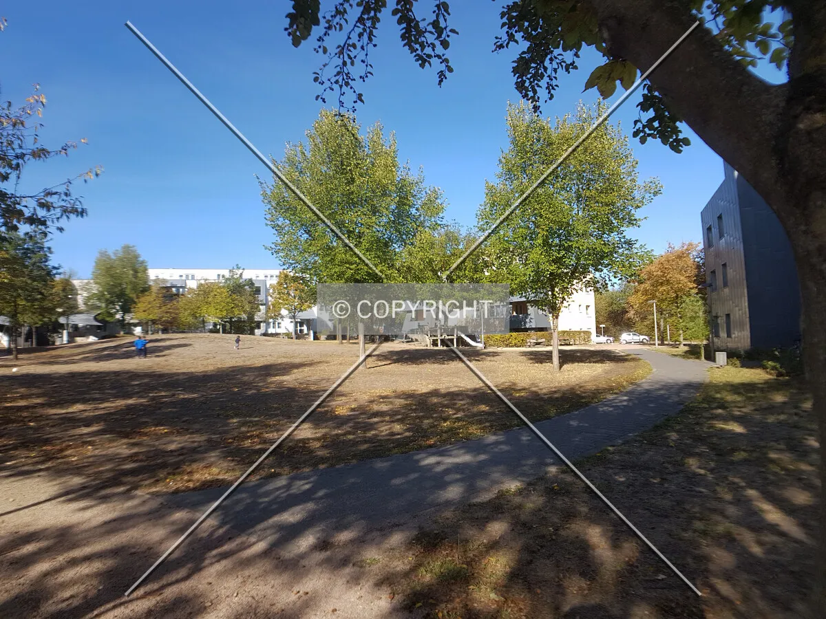Photo 174-917-248