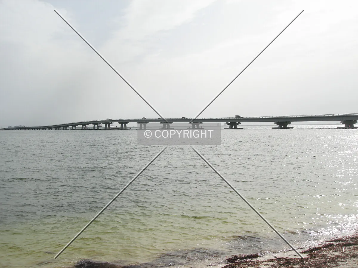 Photo 174-991-664