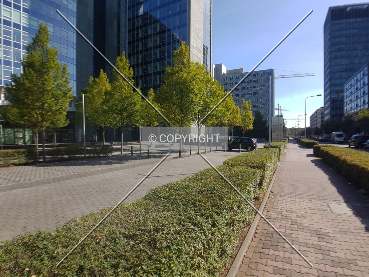 Photo 175-034-495