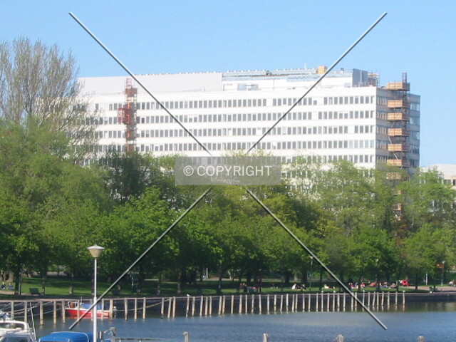 Daytime view