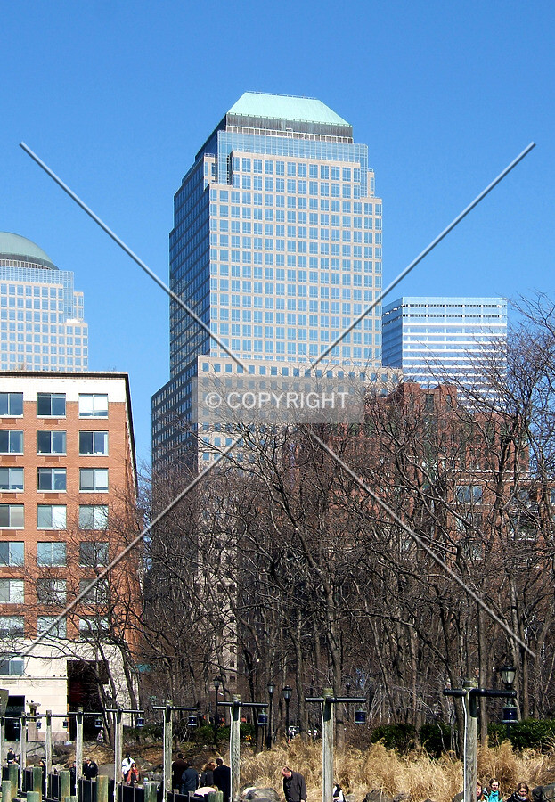 View from the southwest